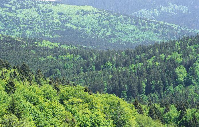 фауна евразии