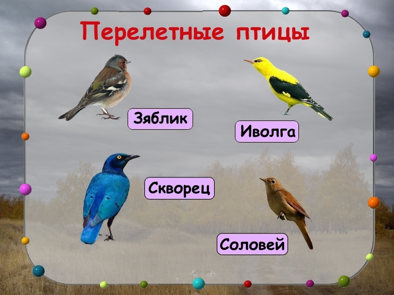 Слайд 6