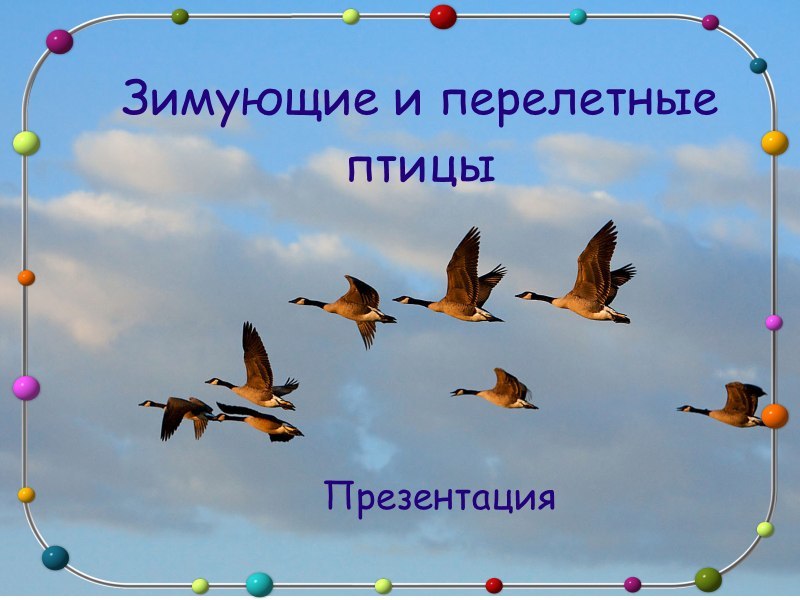 Зимующие и перелетные птицы: презентация для дошкольников