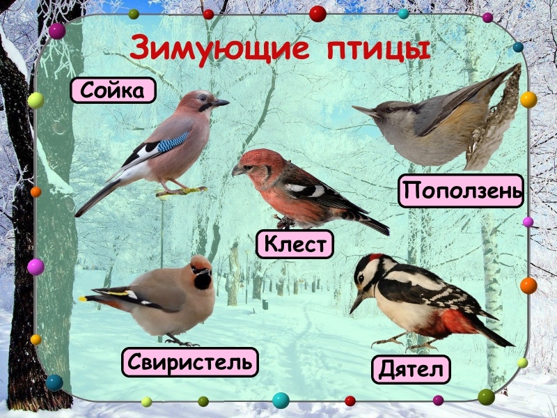 Слайд 11