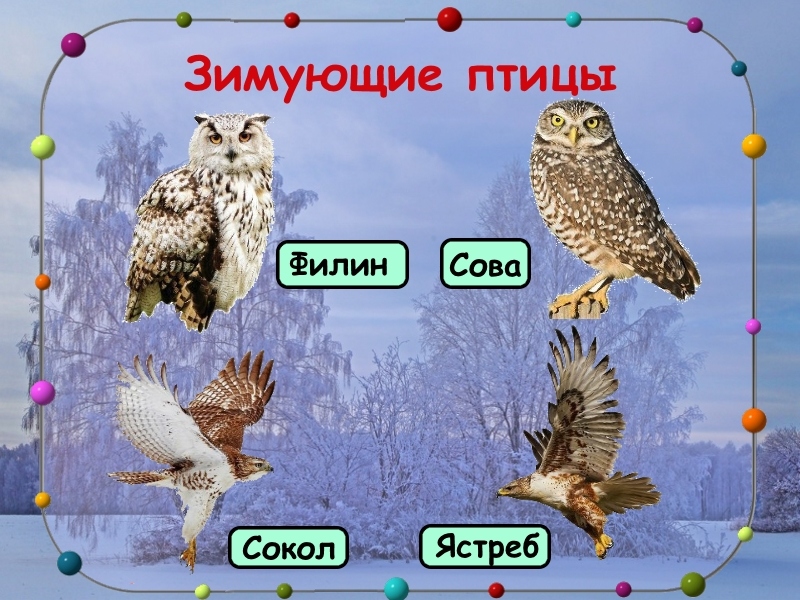 Слайд 10