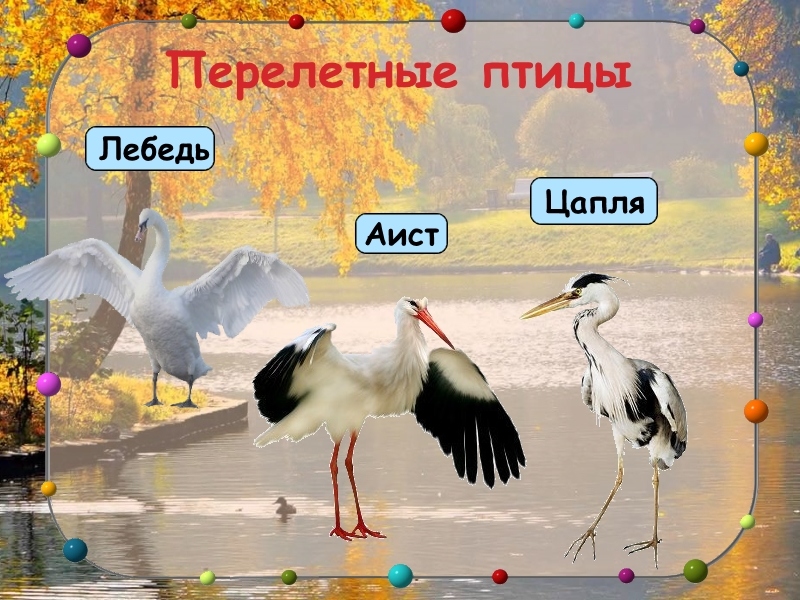 Слайд 7