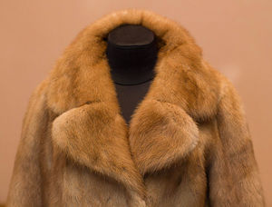 Описание норкового меха Как отличить норку