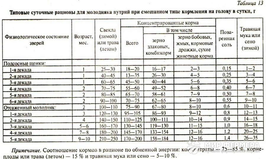 Кормление молодняка нутрий Рацион для щенков нутрии