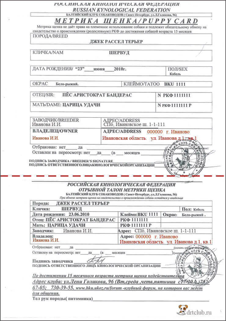Щенячья карточка (метрика) Щенячья карточка