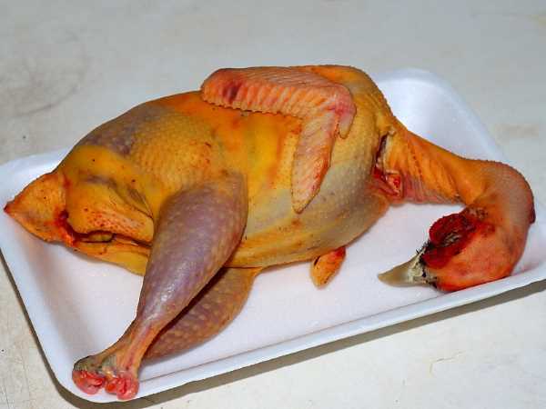 Ощипанная тушка фазана