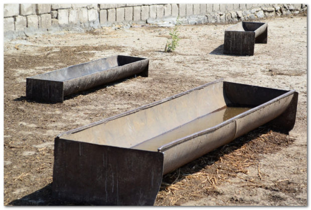 Двор с ванными для купания