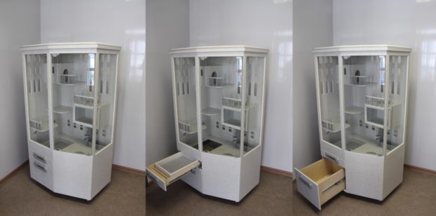 Готовая витрина для шиншилл - целый зоопарк