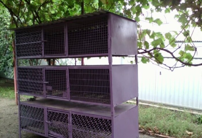 Клеточное содержание нутрий