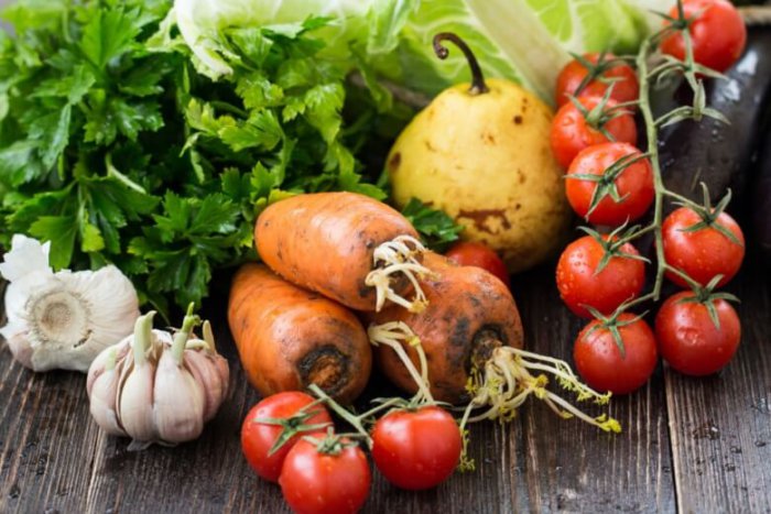 Корм для нутрий