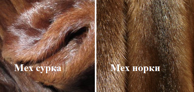 Как отличить мех норки от подделки