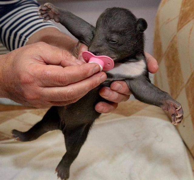 Их мать убили, когда им было всего несколько дней