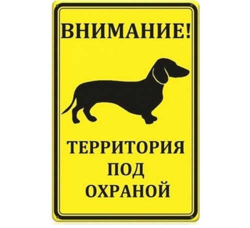 17 лучших собак для охраны частного дома: породы средних, маленьких и больших размеров