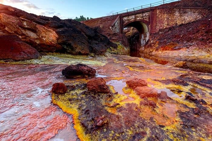 Среда обитания - виды, характеристики и представители Среда обитания - виды, характеристики и представители