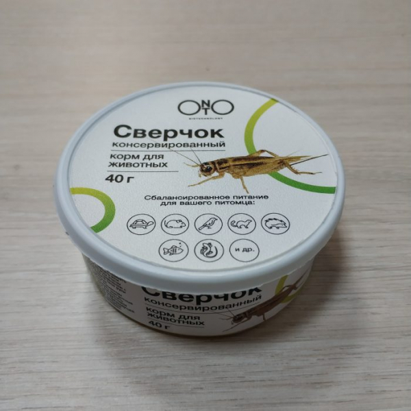 В природе чем питаются ежи, что едят? В природе чем питаются ежи, что едят?