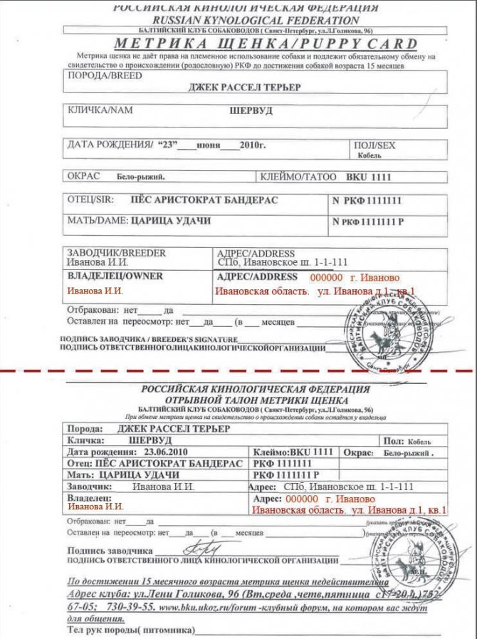 Метрика щенка