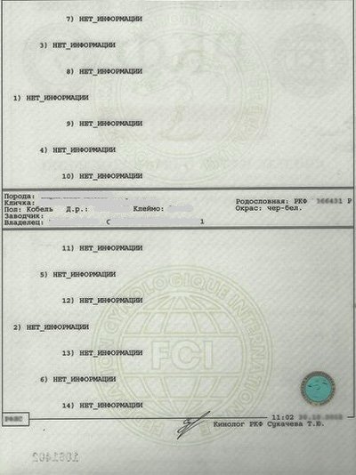регистровая родословная оборотная сторона
