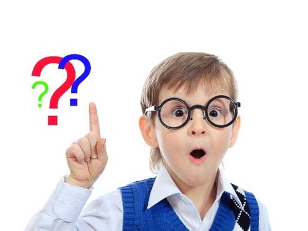 Сколько живут комнатные мухи в условиях обыкновенной квартиры. Сколько живет муха обыкновенная в природе и домашних условиях