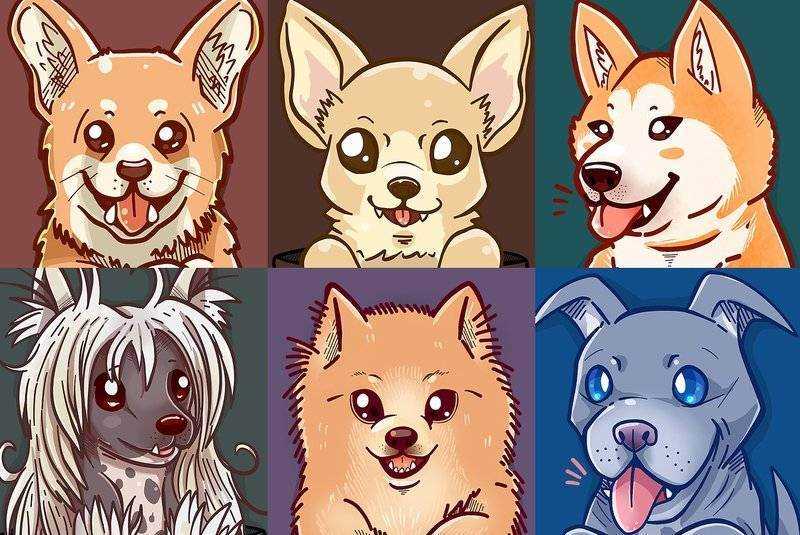 100 лучших кличек для собак: идеи для мальчиков и девочек