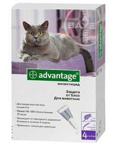 Адвантейдж для кошек: эффективное средство от блох и клещей Адвантейдж для кошек: эффективное средство от блох и клещей