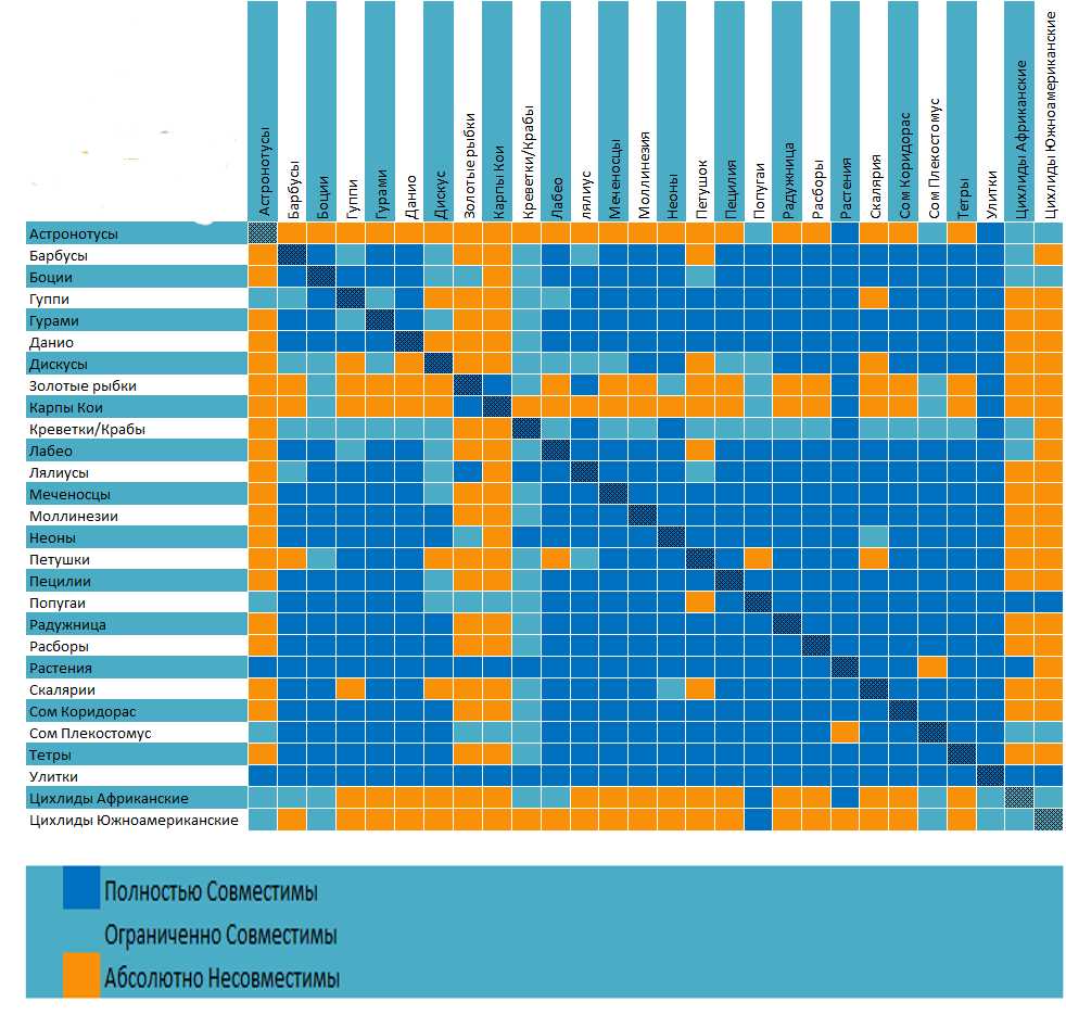 Совместимость аквариумных рыб в одном аквариуме: таблица