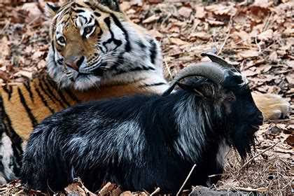 Популярность и распространенность имен