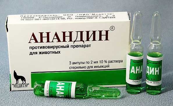 Как использовать Анандин для кошек