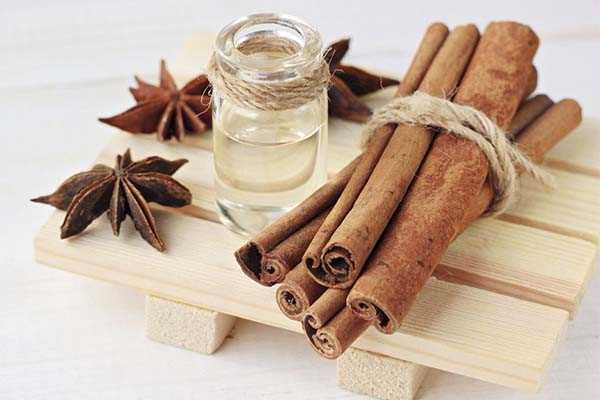 Анандин для собак: полезные свойства и применение