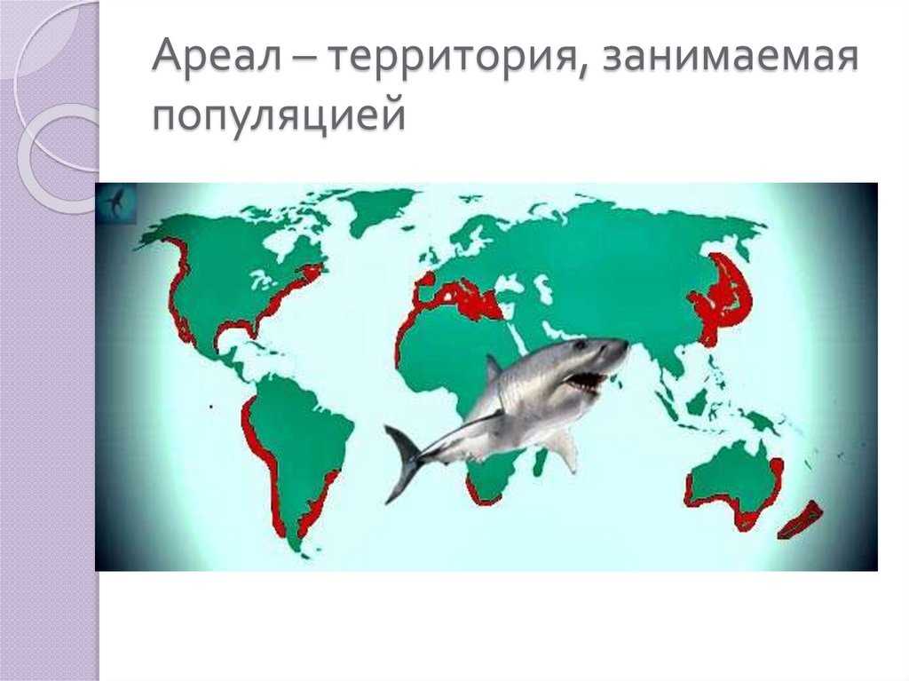 Как сохранить биоразнообразие жуков