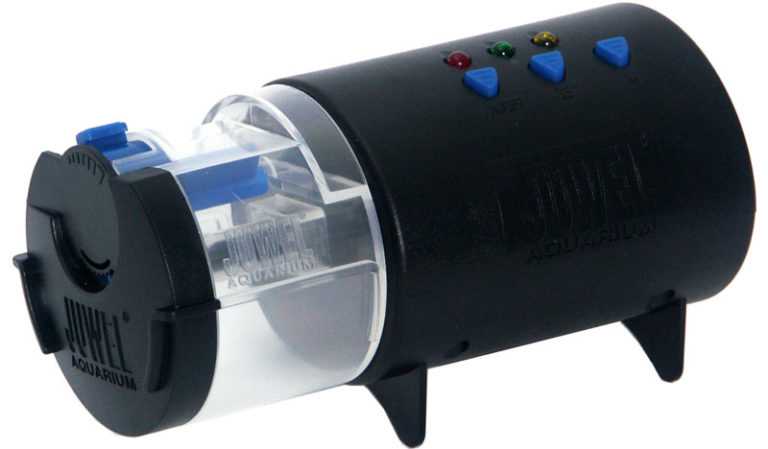 Как подобрать корм для автокормушки?