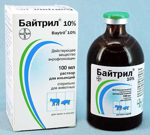 Применение Байтрила для кошек
