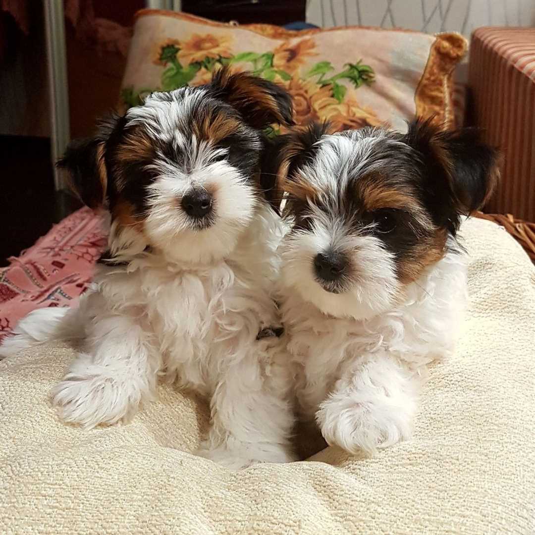 Здоровье и ожидаемая продолжительность жизни