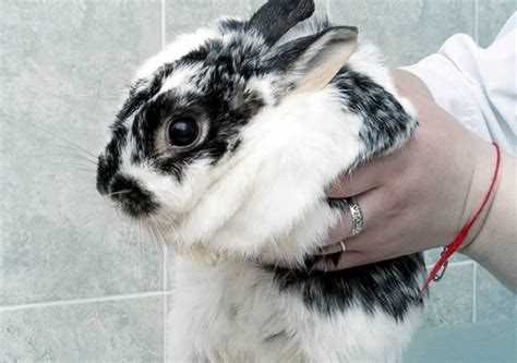 Подготовка к лечению