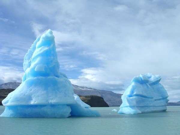 Большой арктический заповедник: уникальная природа и охраняемые виды