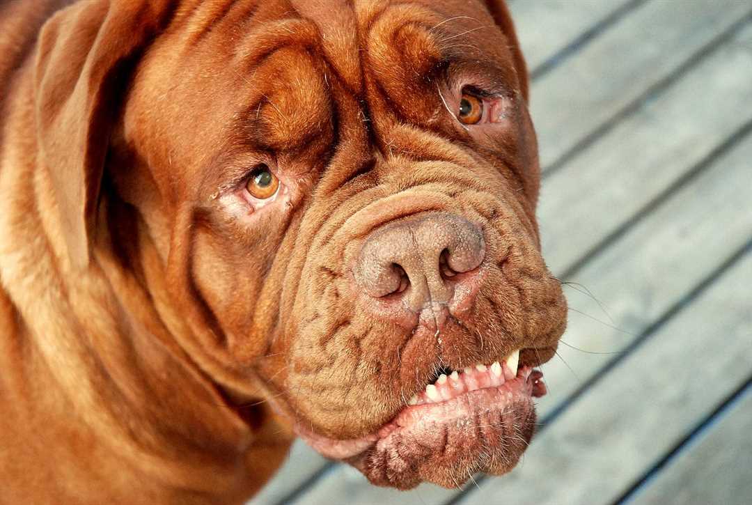 Уравновешенный и спокойный