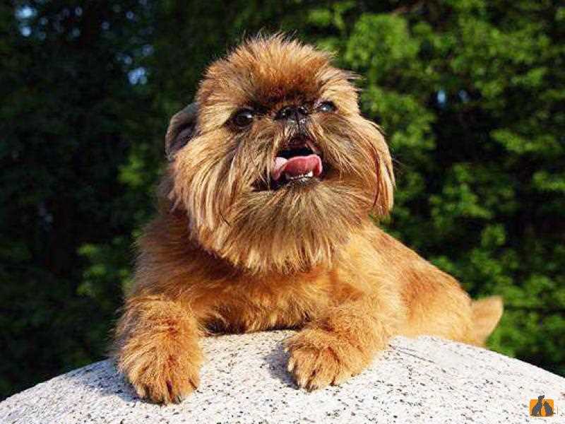 Фотографии и видео