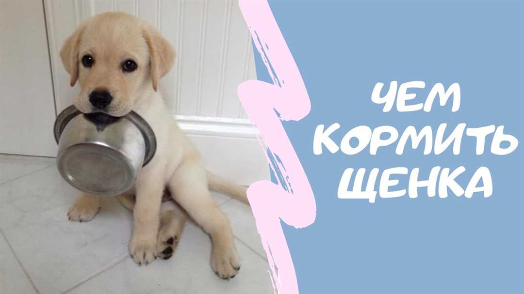 Мясо и рыба