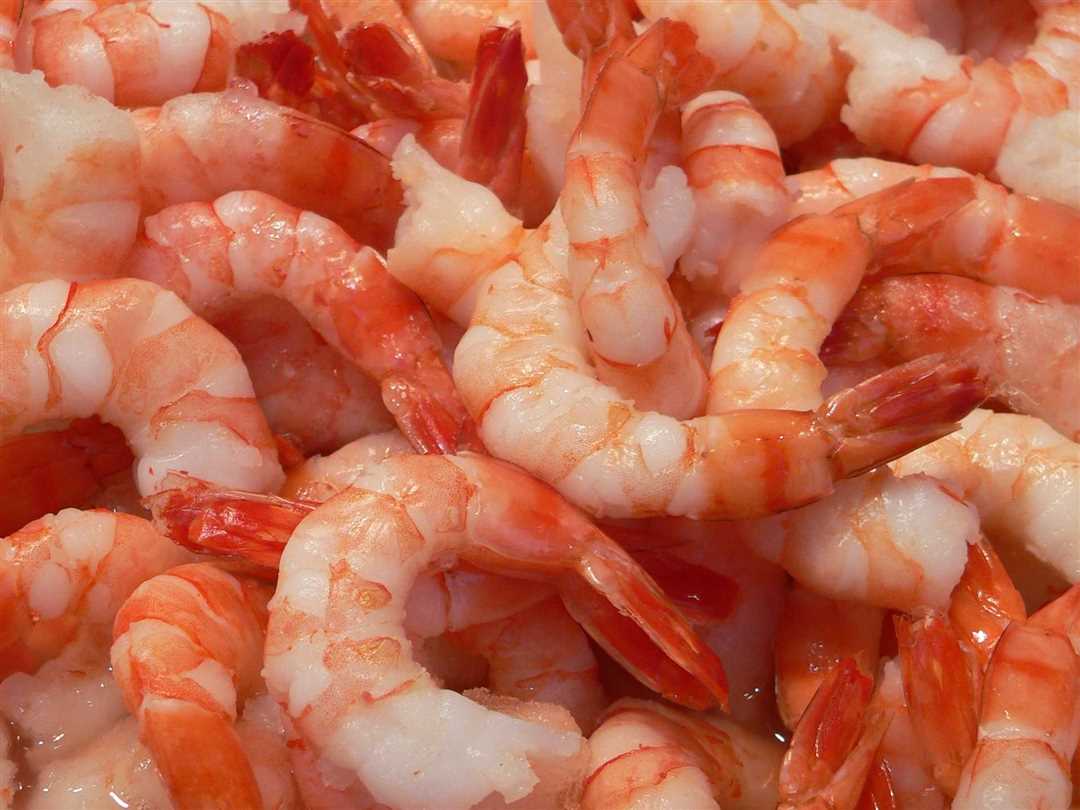 Фото креветок: ботан, тигровые, живые