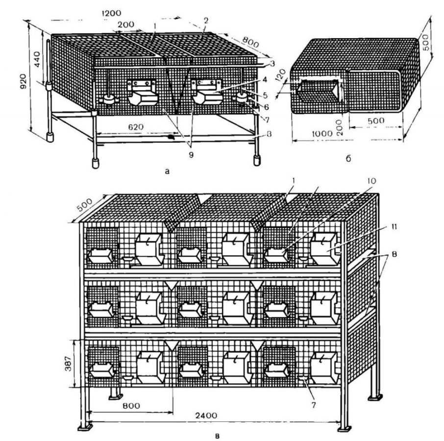 Какой материал выбрать для изготовления клетки?