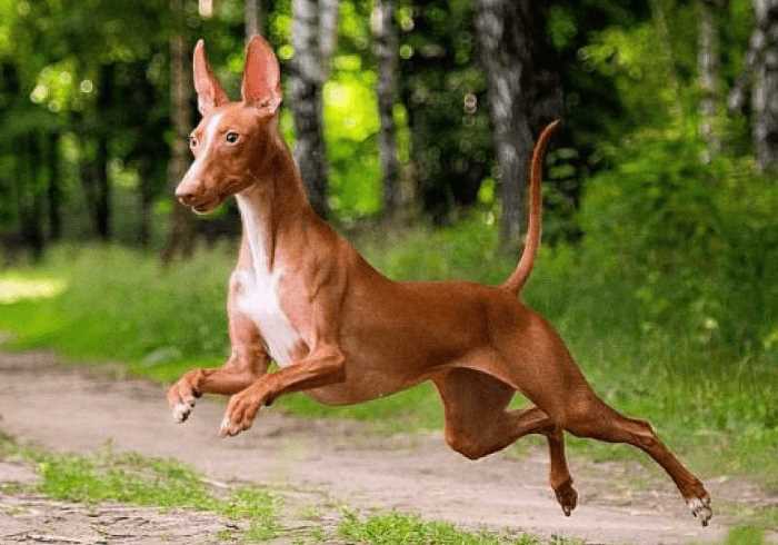 Кулинарные рецепты