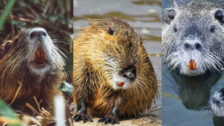 Лето и осень