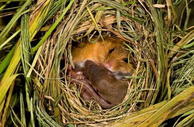 Правильное хранение продуктов