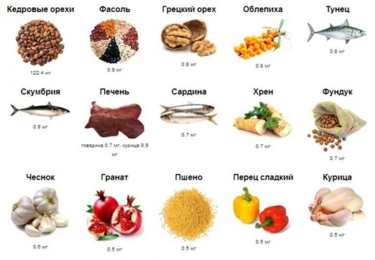 Что ест еж: основные продукты в рационе