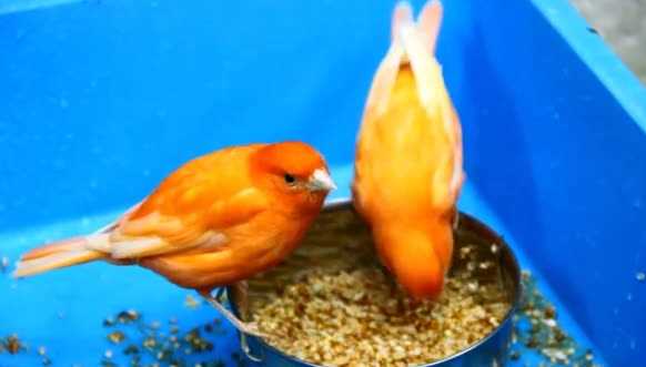 Витамины и минералы