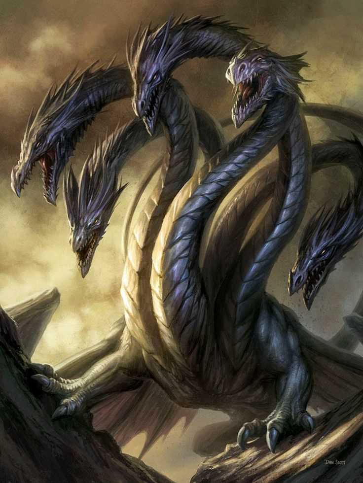 Что такое гидра Что такое гидра