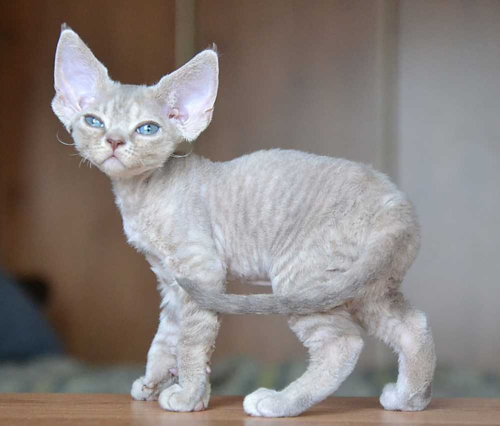 Студийные съёмки