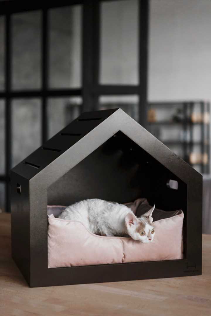 Дом для кота: как выбрать идеальное жилище для вашего питомца