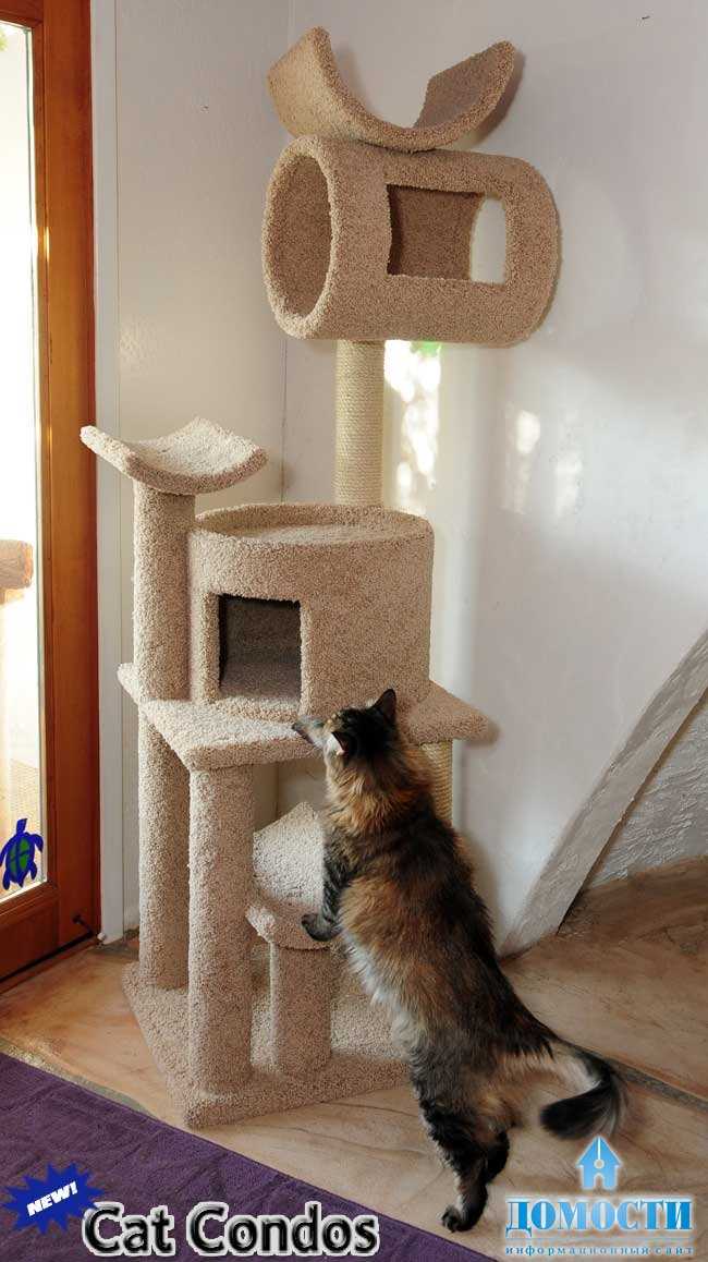 Размер помещения