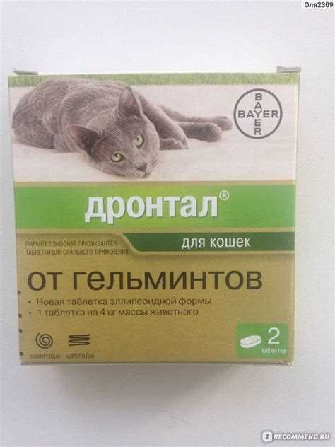 Дронтал для кошек – эффективное лечение паразитов у питомцев Дронтал для кошек – эффективное лечение паразитов у питомцев