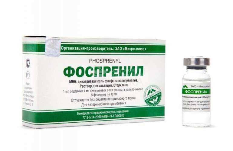 Фоспренил для кошек: инструкция по применению, дозировка, побочные эффекты Фоспренил для кошек: инструкция по применению, дозировка, побочные эффекты